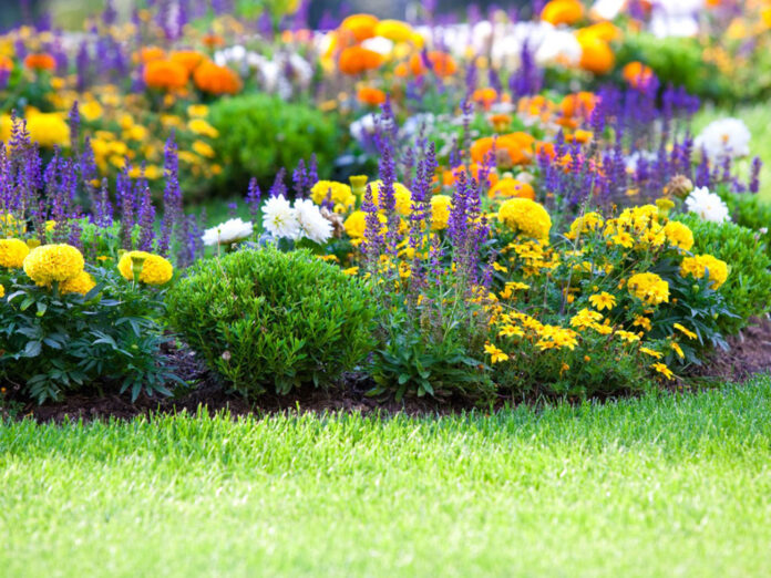 Consider Large Garden Areas