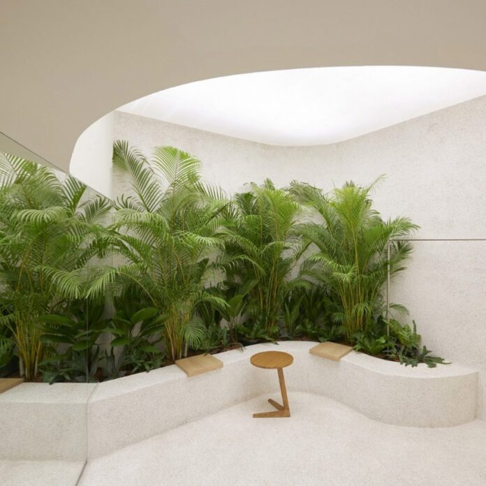 Plants were housed in large planters