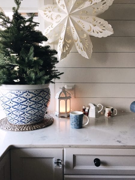 10 Thrifty Tips for Thieves Household Cleaner (and My Christmas Cleaning Recipe!)