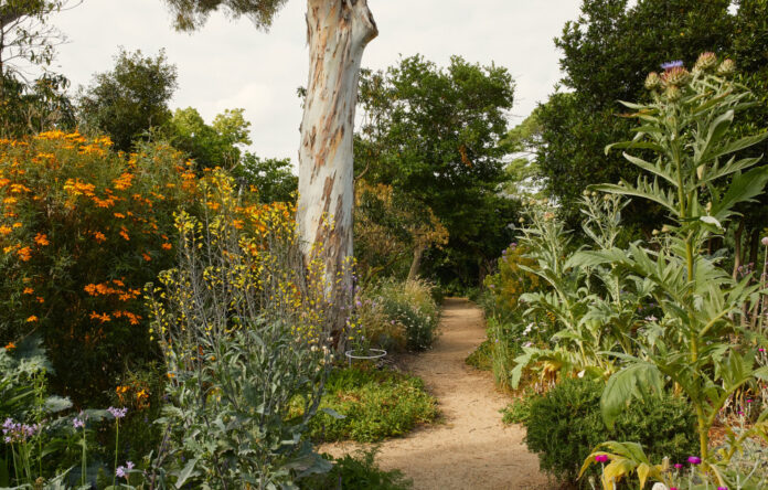 Heide Museum’s Enchanting New Healing Garden