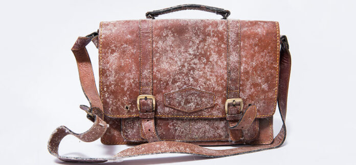 How to Remove Mould and Mildew from Leather | Fantastic Cleaners AUS