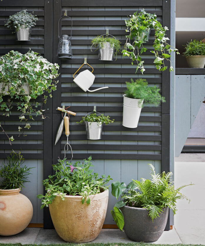 Black painted wall trellis on outside of shed with plants and tools hung from it