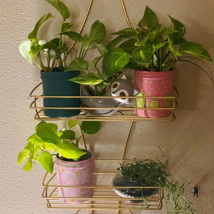 houseplants arranged in a gold shower caddy