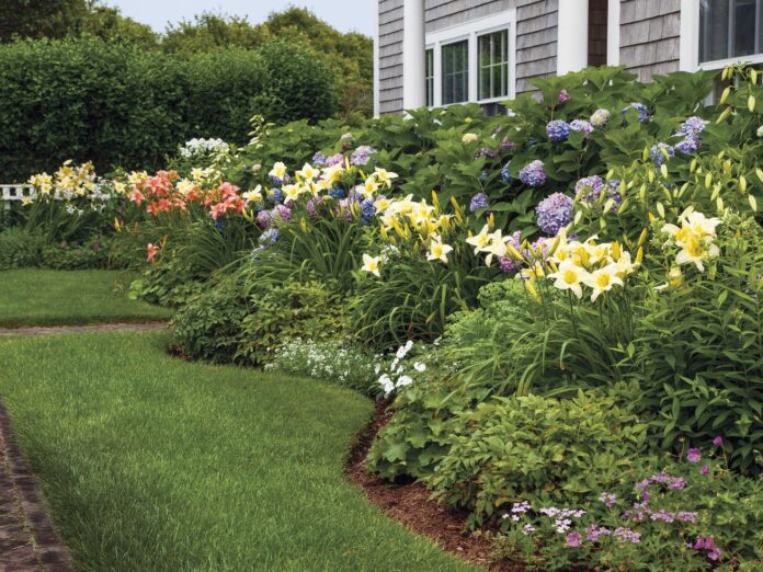 Pale-yellow and salmon-colored daylilies take center stage in this blooming border.