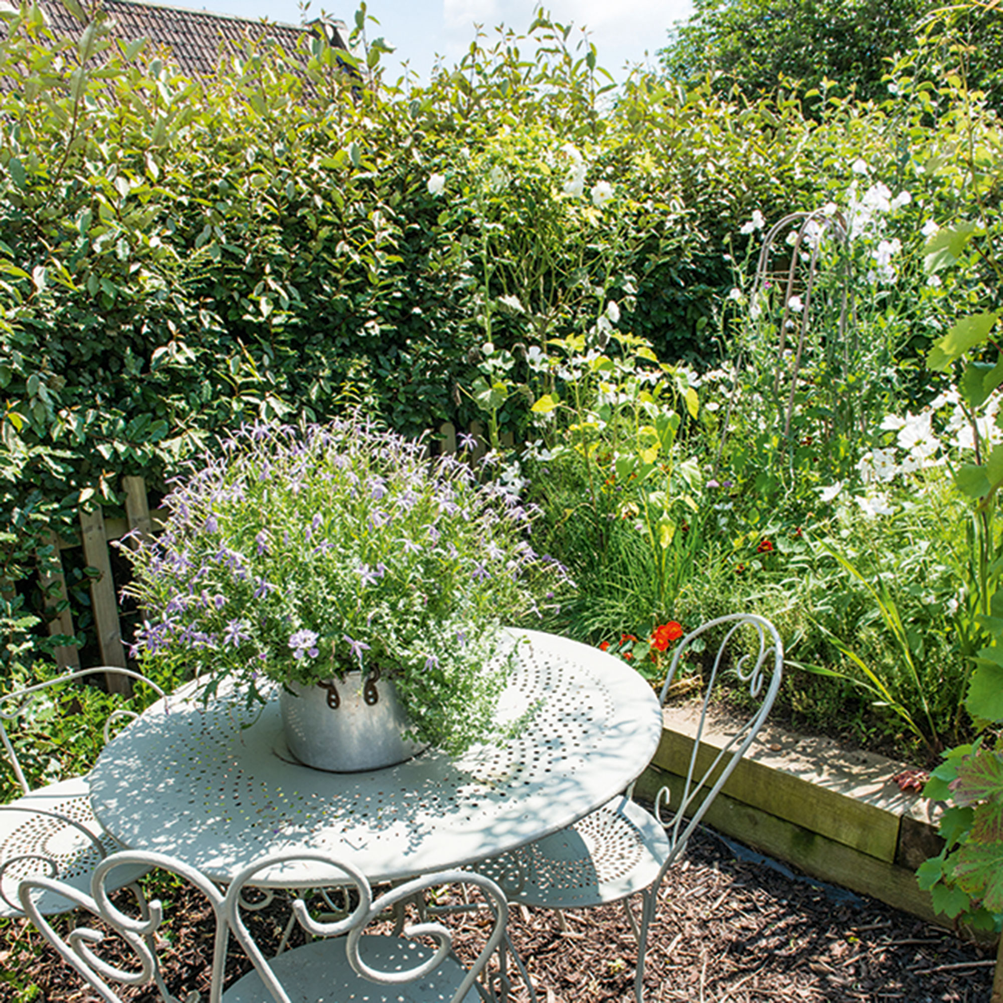 Garden with metal table and chairs surrounded by wild planting