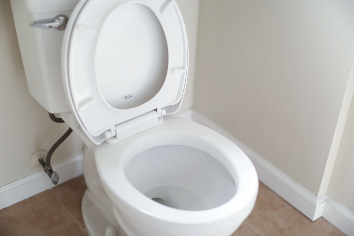 What is a Flushing Toilet?