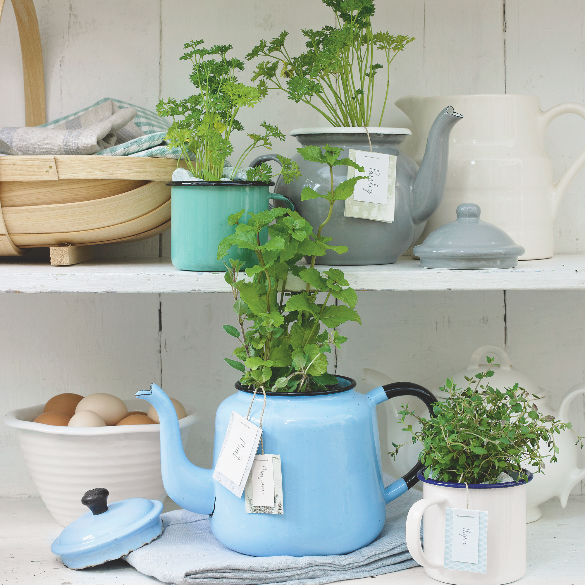 fresh herbs in tea pot and cups