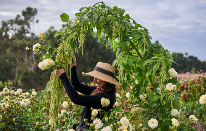 An Abundant Biodynamic Flower Farm Guided By The Cycles Of The Moon