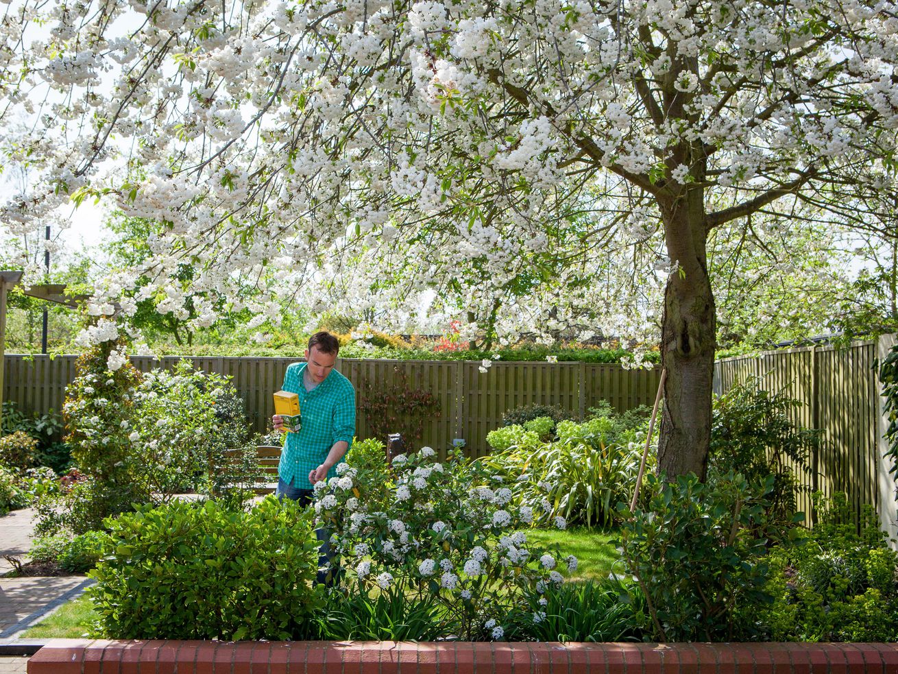 A man fertilizing bushes in a garden