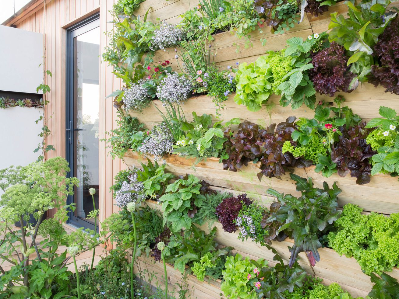 An outdoor wall garden with edible plants