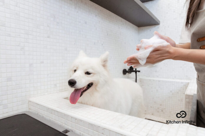 How To Remove Stains From White Dog Fur