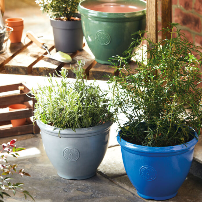 Aldi is selling these smart outdoor plant pots to rival those of the RHS