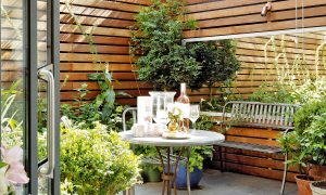 courtyard garden with wooden panelling