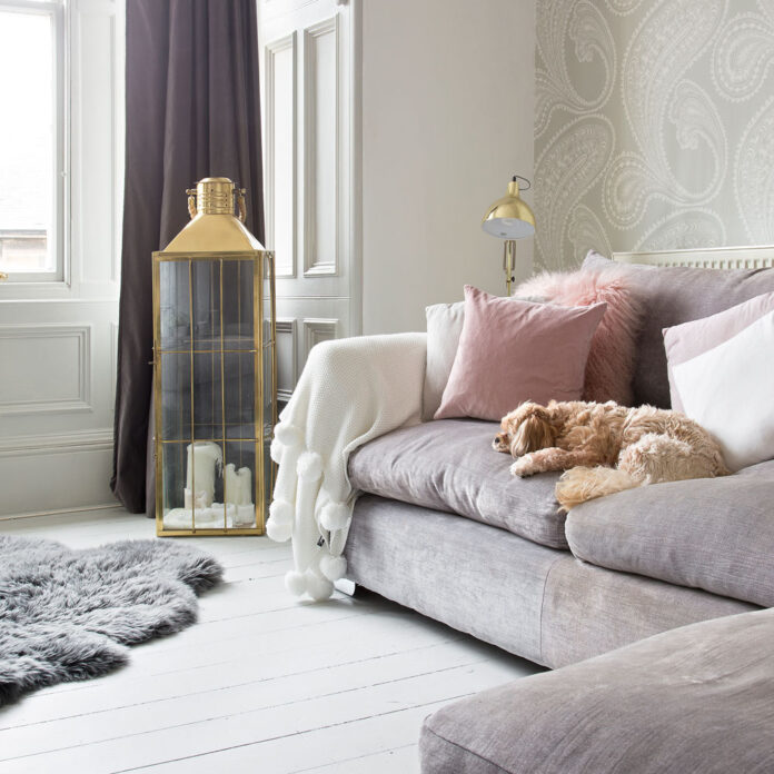 Landlords can no longer refuse pets in rental properties - everything you need to know