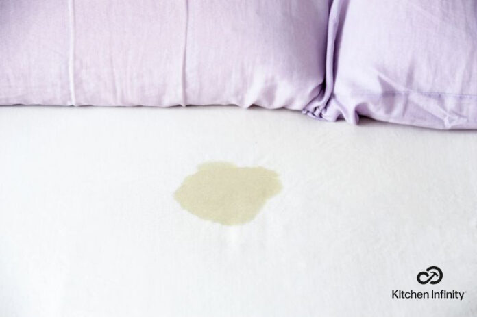 How To Remove Urine Stains From Clothes