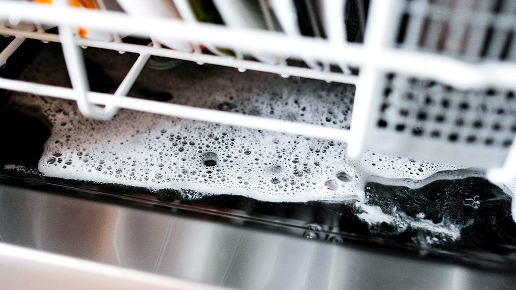 Standing Water In Dishwasher 
