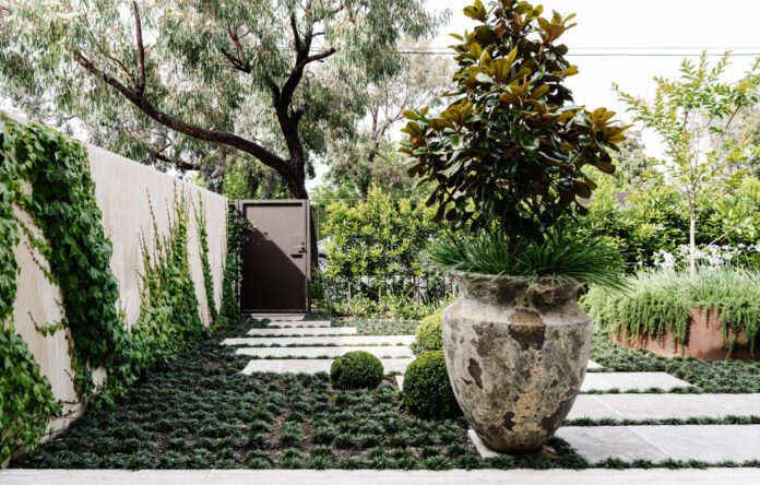 A Melbourne Apartment’s Lacklustre Garden Turned ‘Sea Of Green’