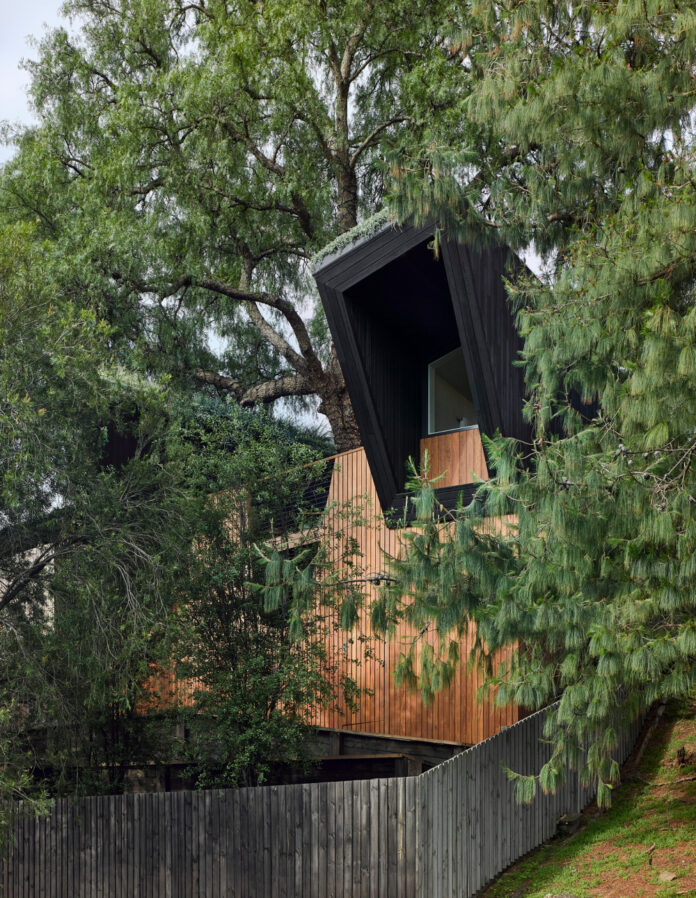 A Compact Passive House Built Around A Pepper Tree