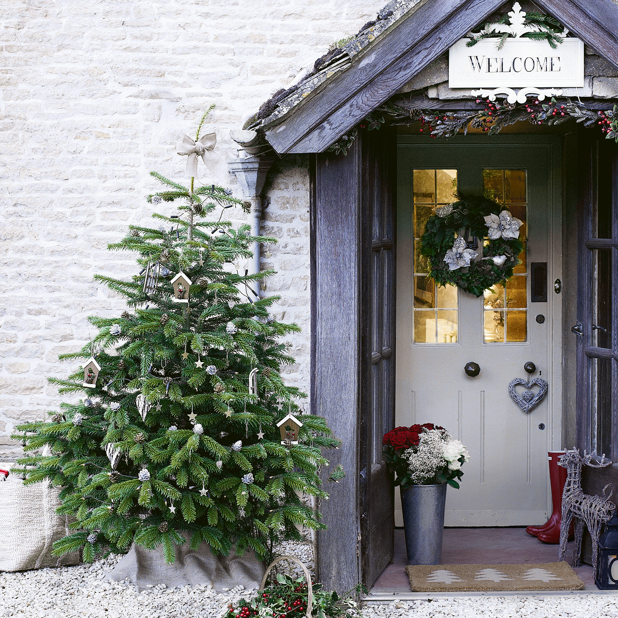 Real Christmas trees – tips for choosing and caring for real firs this December