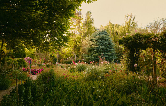 This Remarkable 8-Acre Garden Has Been A Labour Of Love For 40 Years