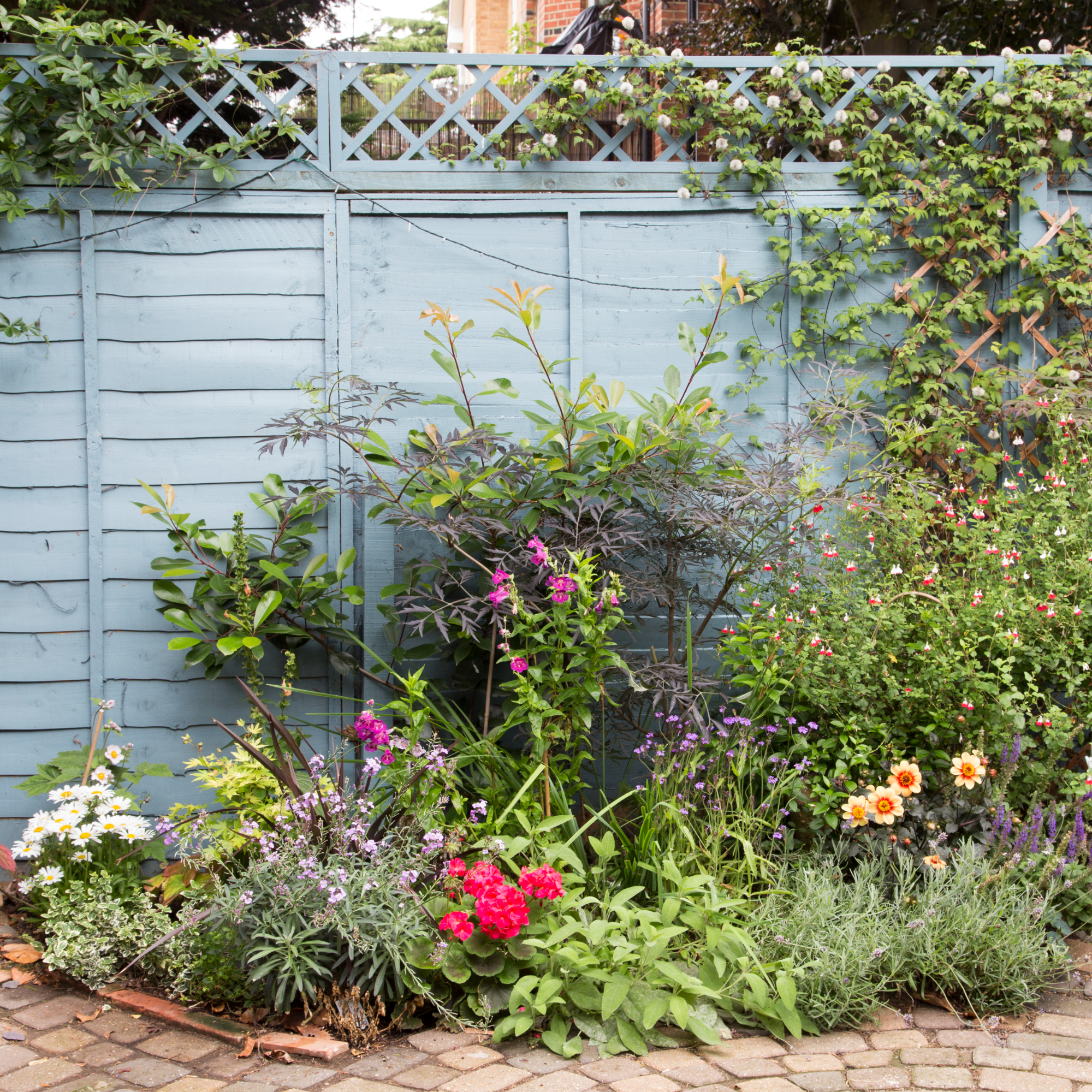 Avoid painting your garden fence with these 3 colours, warn experts