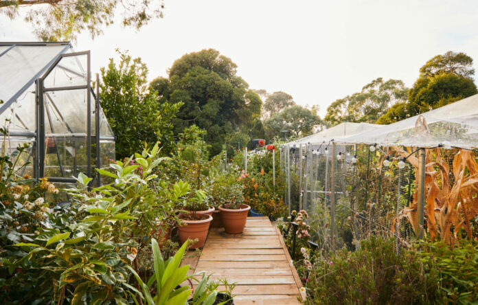 Connie Cao’s Thriving Productive Garden In Suburban Melbourne