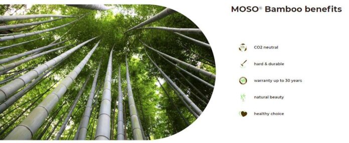 Moso bamboo sustainable wood for exterior lighting projects, the light yard