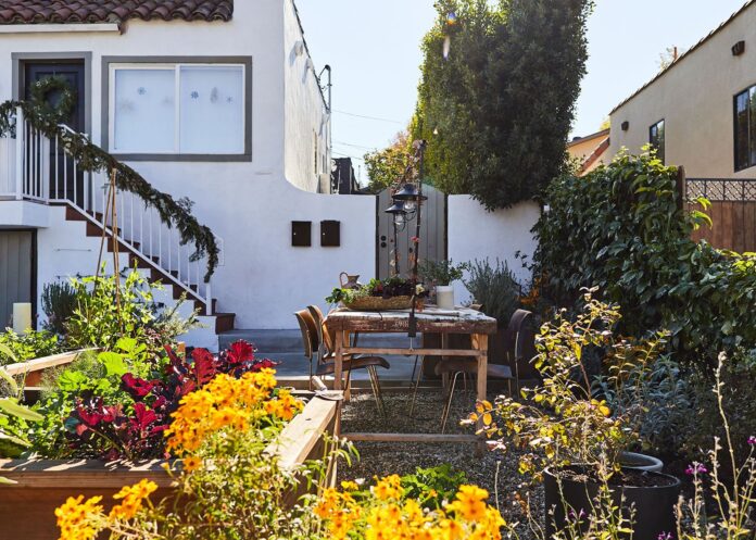 THE REVEAL: Emily Bowser’s Front Yard Edible Urban Garden (Don’t Worry, There’s A Big Dose Of Plant Drama)