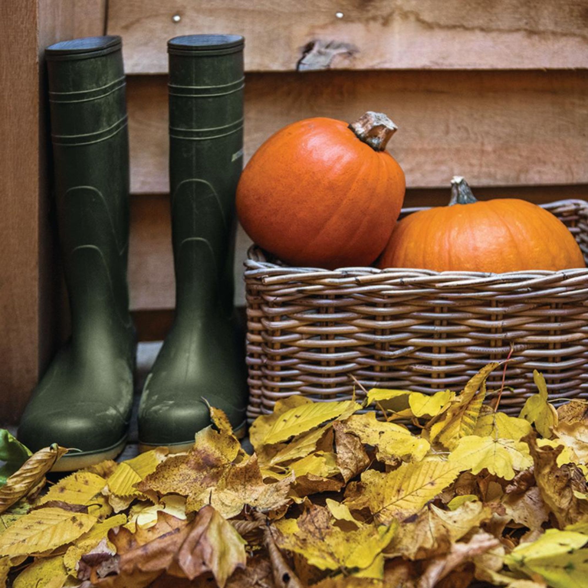 Monty Don's autumn leaves hack will help your garden thrive (and it's free!)