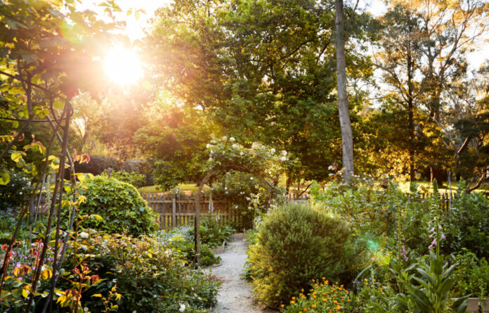 A Look At Heide Modern’s Enchanting Kitchen Garden Restoration