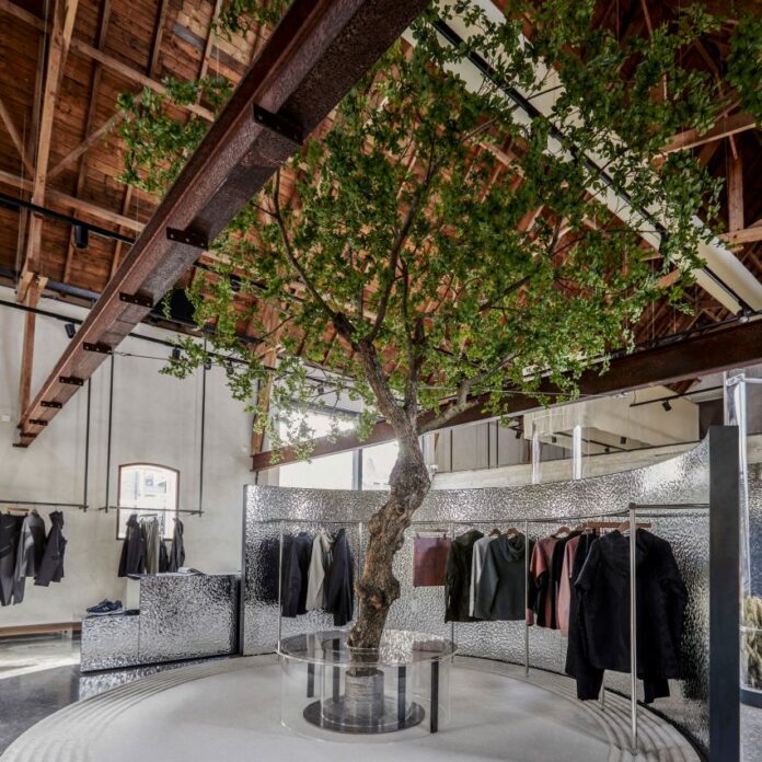 Tree inside Calico Club store
