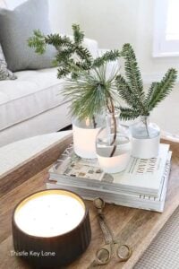 Paint dipped glass jars with evergreen sprigs on a coffee table.