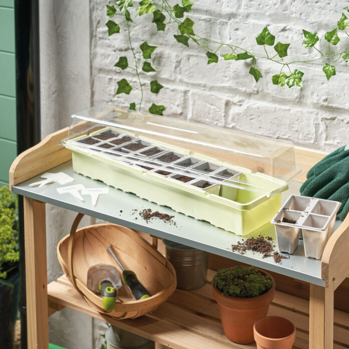 Aldi is selling a £3 windowsill greenhouse that will bring the outside indoors – and it's perfect for small spaces