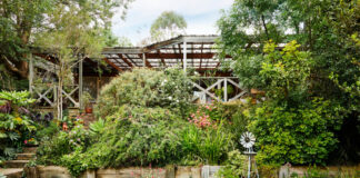 A Cosy ‘80s House Where Beach Meets Bush