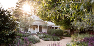 How To Create A Cottage Garden