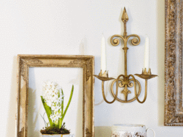 The clever indoor spring bulb hack that will fill your garden with colour for years to come