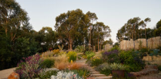 A Potter’s Abundant Native Garden In Hepburn, Victoria