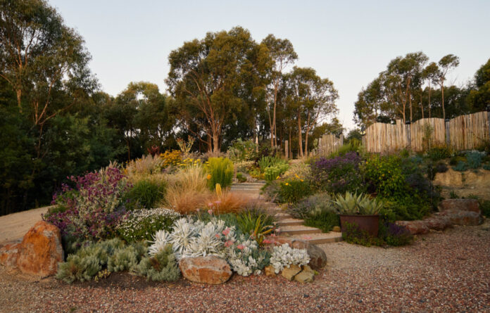 A Potter’s Abundant Native Garden In Hepburn, Victoria