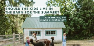 A Summer Project – The Barn Turned “Kids Summer Clubhouse”???