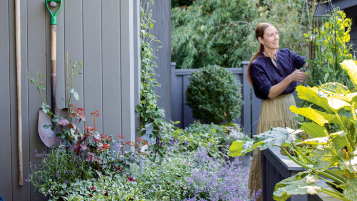 6 Ways To Get Your Garden Ready For Spring