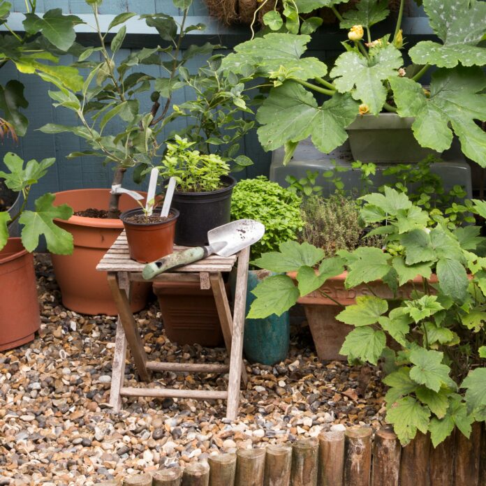 B&Q wants your old plastic plant pots – their new scheme means you can now recycle them easily in-store