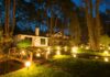 Make Your Yard Shine with Brilliant Outdoor Lighting