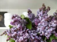 Lilacs in a wicker vase on a marble kitchen counter.